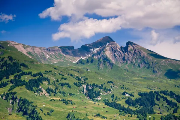 Montañas en Suiza —  Fotos de Stock