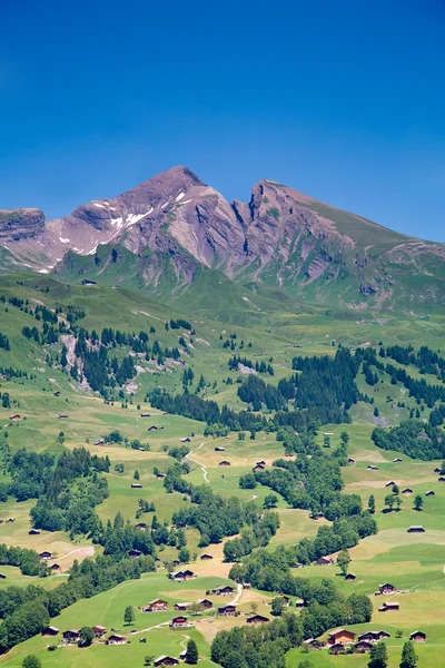 Дома в горах Швейцарии — стоковое фото