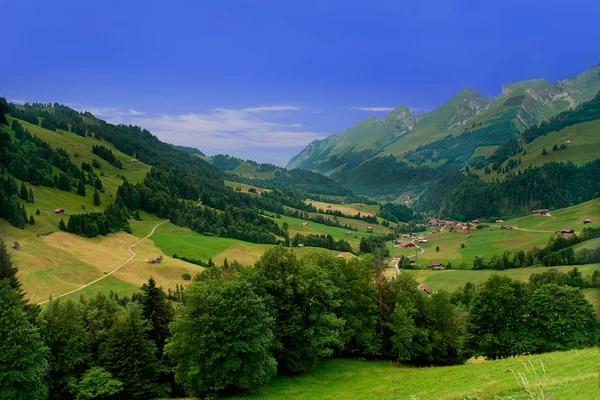 Poblíž gruyeres, Švýcarsko — Stock fotografie