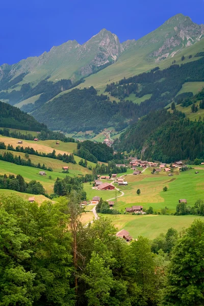 Bei gruyeres, Schweiz — Stockfoto