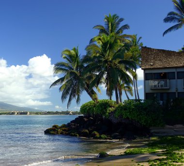 House on the Edge of the Ocean clipart