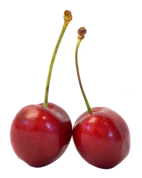 stock image Two Cherries