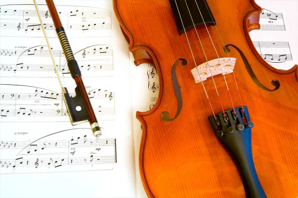 Violin och en båge — Stockfoto