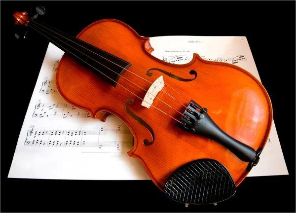 Violin on a Music Sheet — Zdjęcie stockowe