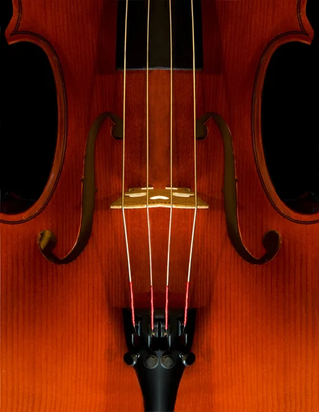 Violin på svart — Stockfoto