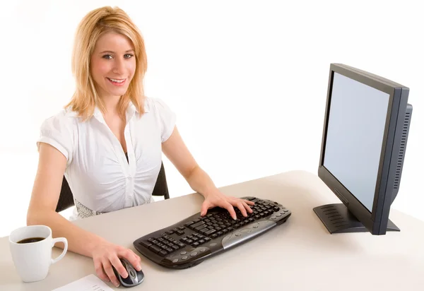 Bilgisayarında çalışan iş kadını — Stok fotoğraf