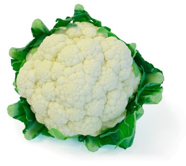 Cauliflower clipart