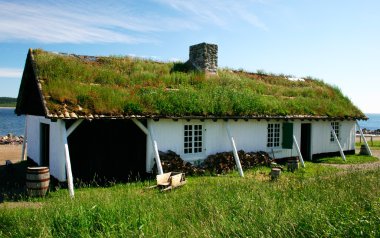 Grass on the Roof clipart