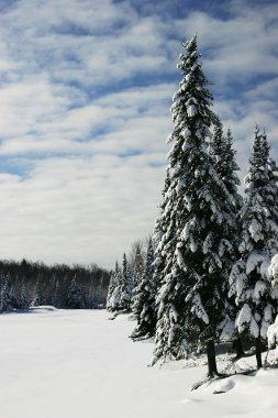 Beautiful Winter Scene by a Frozen Lake clipart