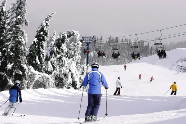 Sjezdové lyžování — Stock fotografie