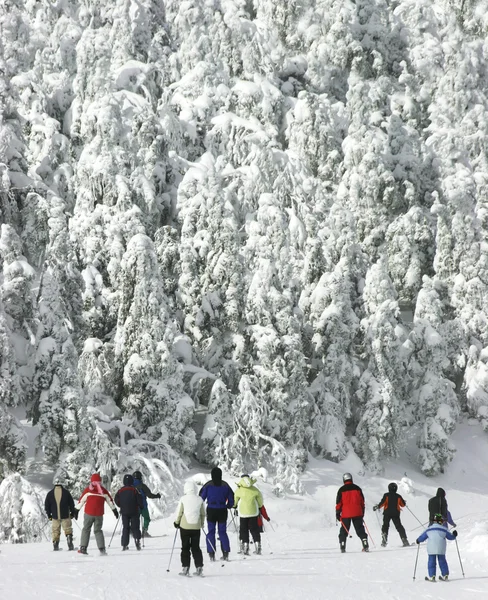 Ski alpin froid extrême — Photo
