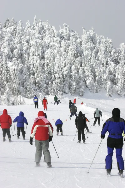 Ακραία κρύο σκι — Stockfoto