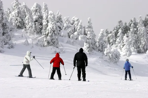 Extrémní zima lyžování — Stock fotografie