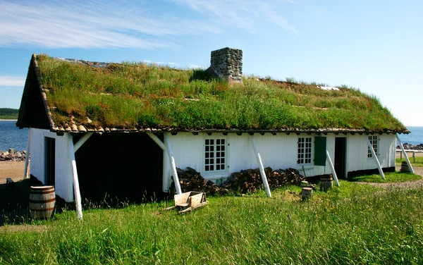 Трава на крыше — стоковое фото