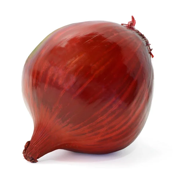 Cebola vermelha — Fotografia de Stock