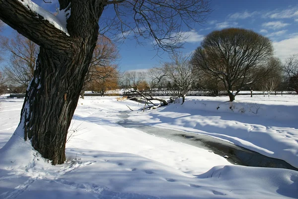 Cena de Inverno por um riacho — Fotografia de Stock