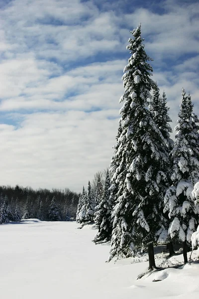 Piękne zimowe sceny przez zamarznięte jezioro — Zdjęcie stockowe