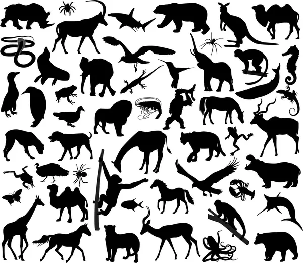 Animals silhouettes — Stock Vector