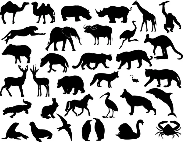 Colección de siluetas animales — Vector de stock