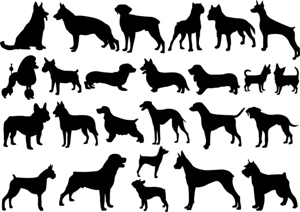Dogs silhouettes — Stock Vector