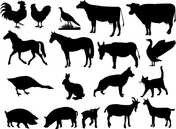 Çiftlik hayvanları silhouettes — Stok Vektör
