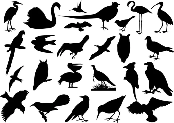 Πουλιά σιλουέτες — Διανυσματικό Αρχείο