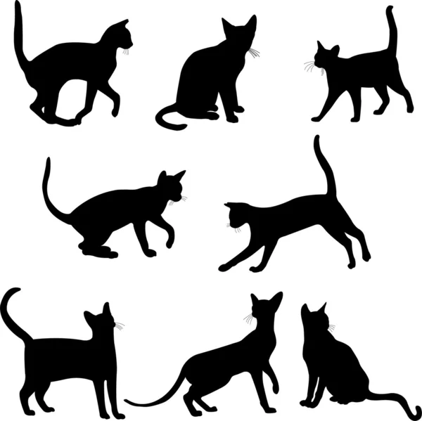 Sílhuetas de gatos — Vetor de Stock