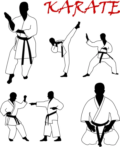 Karate — Stok Vektör