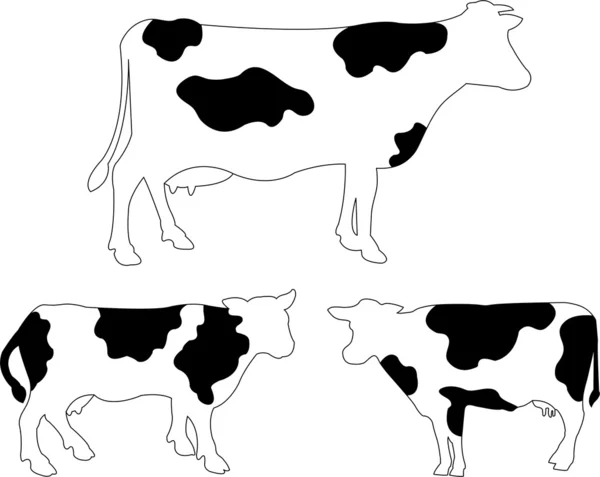 Vacas — Vector de stock