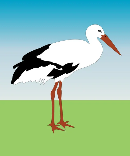 Illustration de cigogne — Image vectorielle