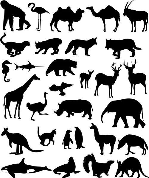 Siluetas animales — Archivo Imágenes Vectoriales