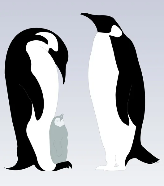 Pingüinos — Vector de stock