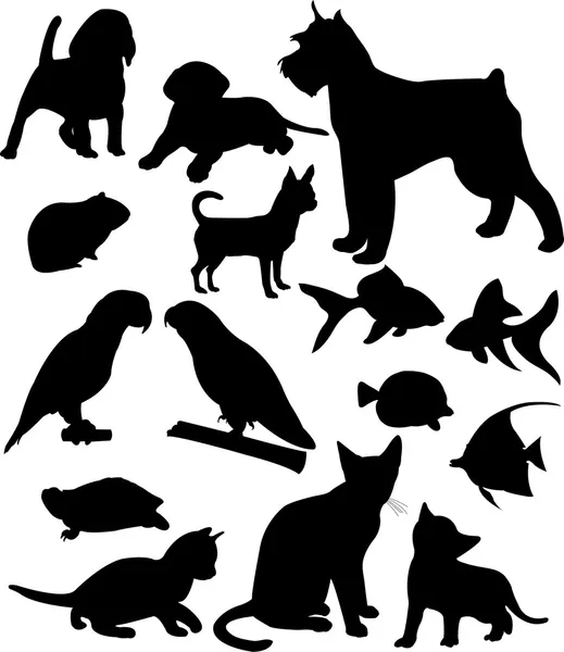 Pets silhouettes — Stock Vector