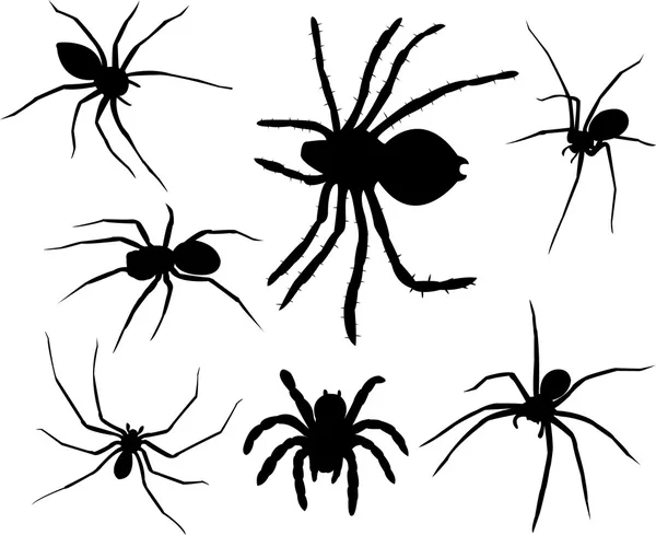 Siluetas de arañas — Vector de stock