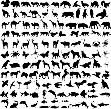 Animals silhouettes