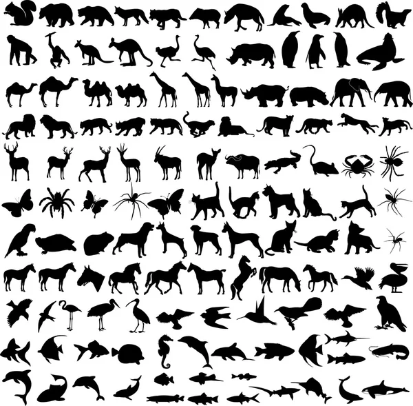 Hayvanlar silhouettes — Stok Vektör