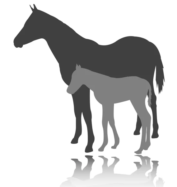 Pferd mit Fohlen - Vektor — Stockvektor