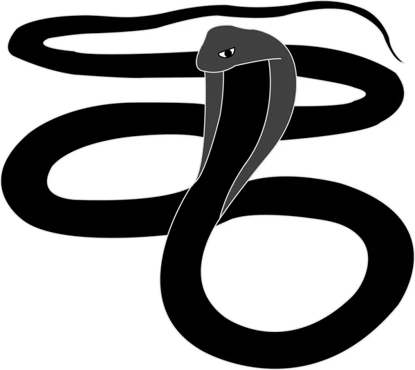 Cobra illüstrasyon — Stok Vektör