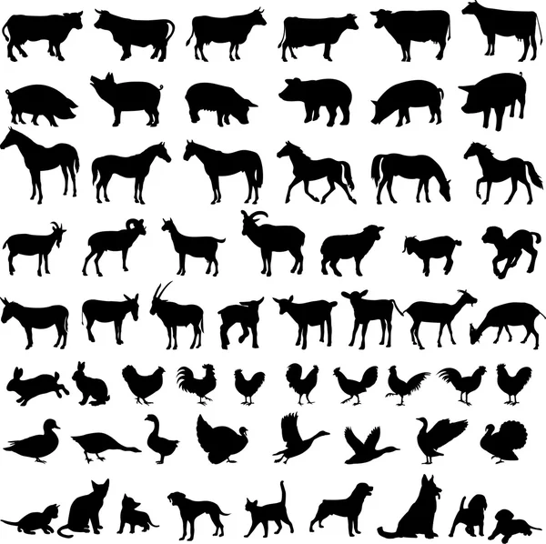 Big collection of farm animals — Stock Vector