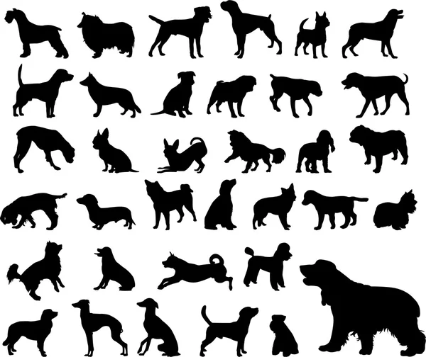 Cani silhouette — Vettoriale Stock