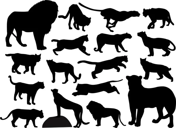 Vahşi kediler silhouettes — Stok Vektör