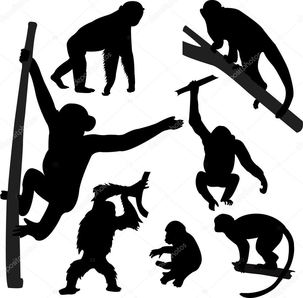 Download Monkey silhouettes | Monkey silhouettes — Stock Vector ...