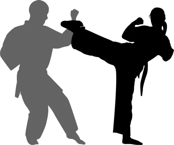 Partido de karate — Archivo Imágenes Vectoriales