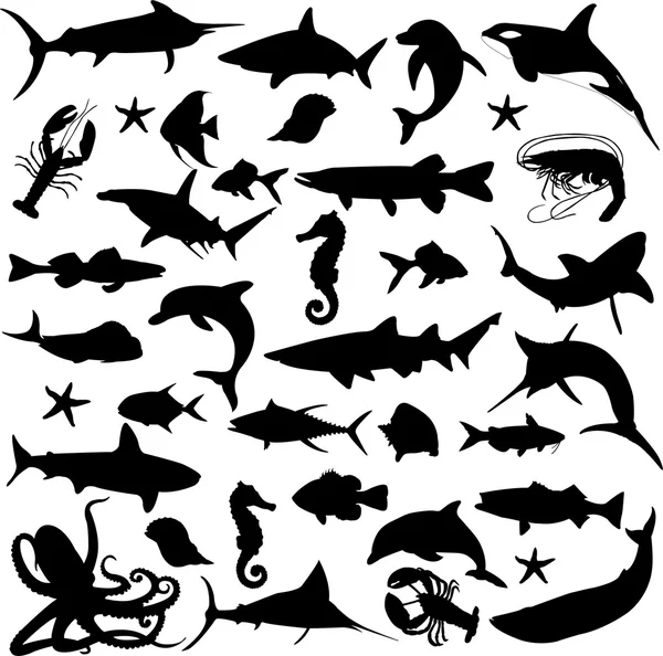 Siluetas de animales marinos — Vector de stock