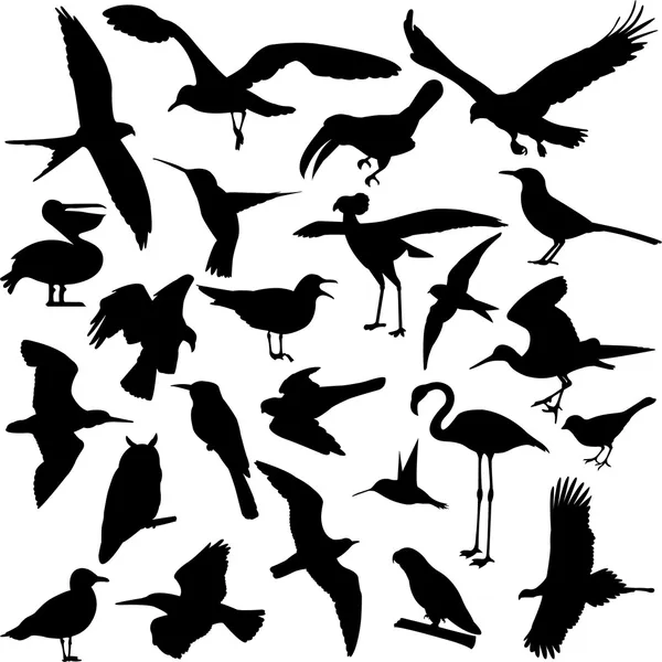Sylwetki ptaków — Wektor stockowy
