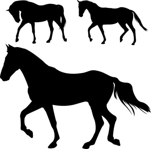Sílhuetas de cavalos — Vetor de Stock