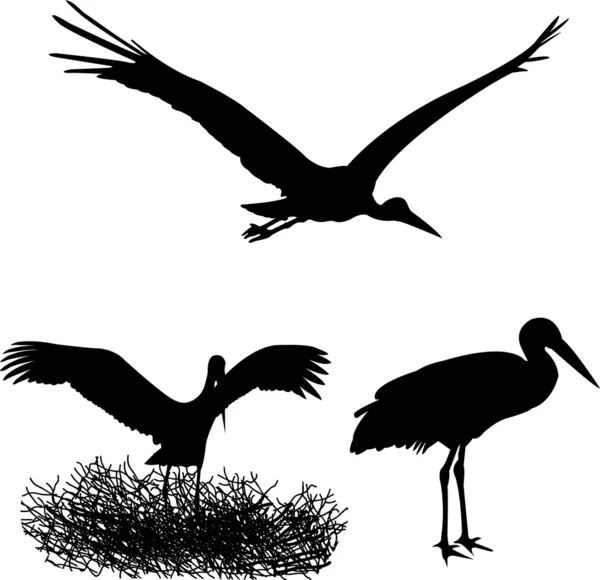 Stork silhouettes — Stock Vector