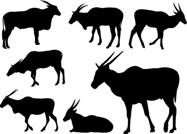 Antilopes — Image vectorielle