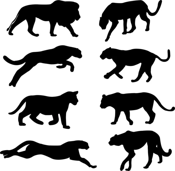 Wild cats silhouettes — Stock Vector