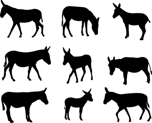 Mules and donkeys silhouettes — Stock Vector